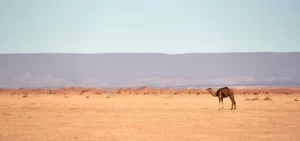 4 días desde Ouarzazate al desierto de Merzouga